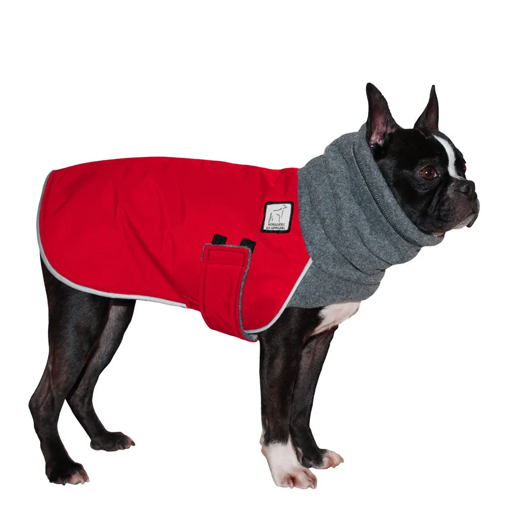 Boston Terrier Winter Coat