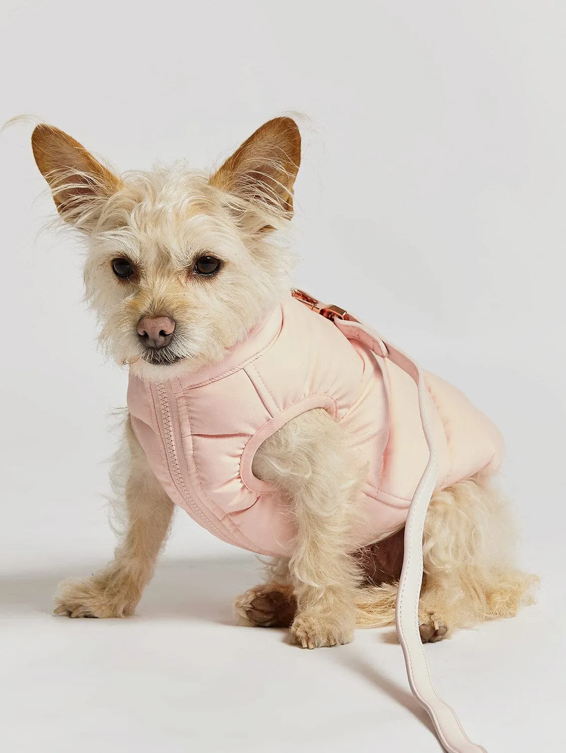 Reversible Recycled Padding Dog Puffer Jacket | Pink & Lilac